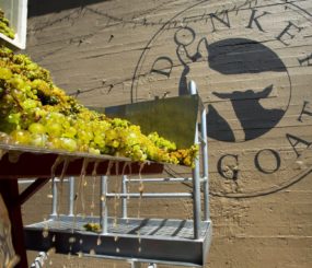02-urban-wineries-in-berkeley-california