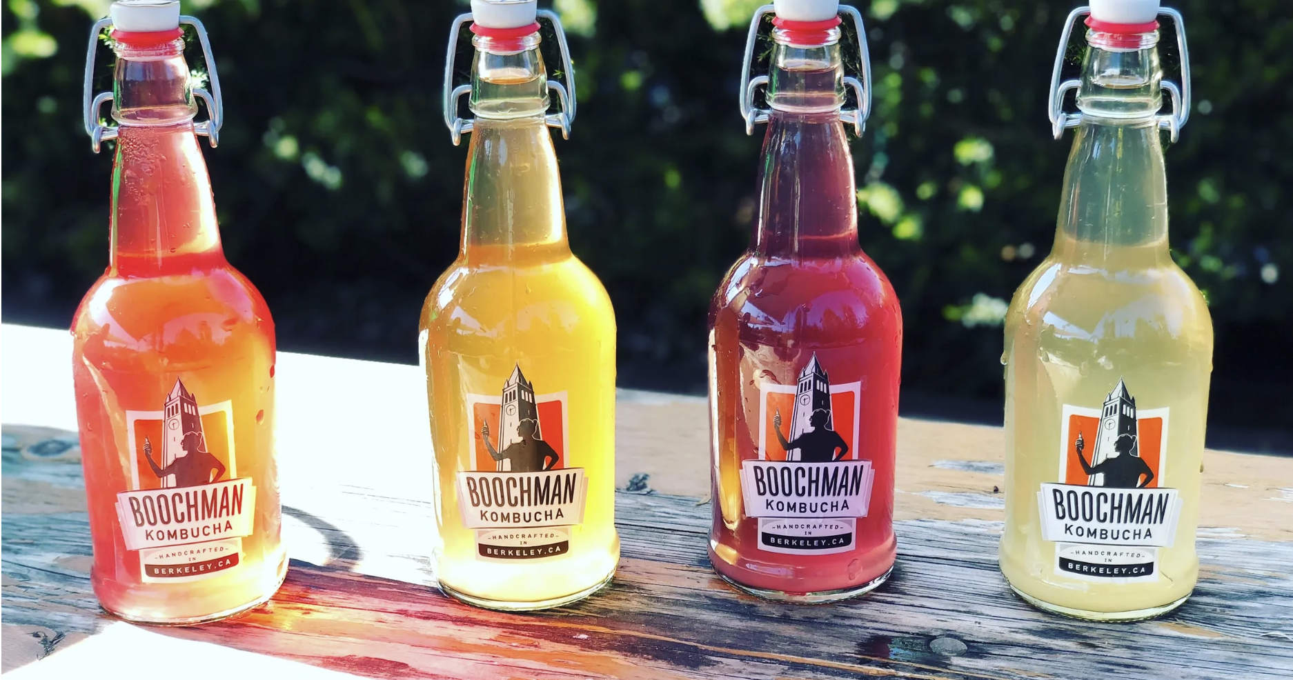 Boochman Kombucha